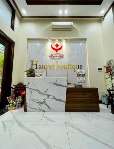 Hanvet Boutique Hotel – Photos 7